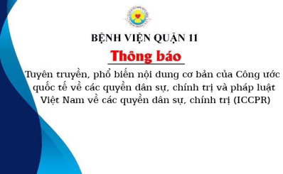 Tuyên truyền, phổ biến nội dung cơ bản của Công ước quốc tế về các quyền dân sự, chính trị và pháp luật Việt Nam về các quyền dân sự, chính trị (ICCPR)